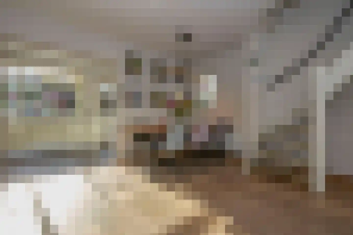 Julianastraat 3 Noordwijk thumbnail 10