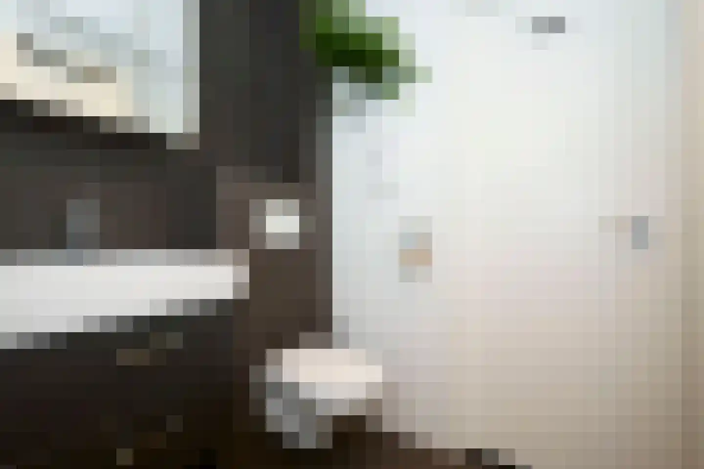Julianastraat 3 Noordwijk thumbnail 25