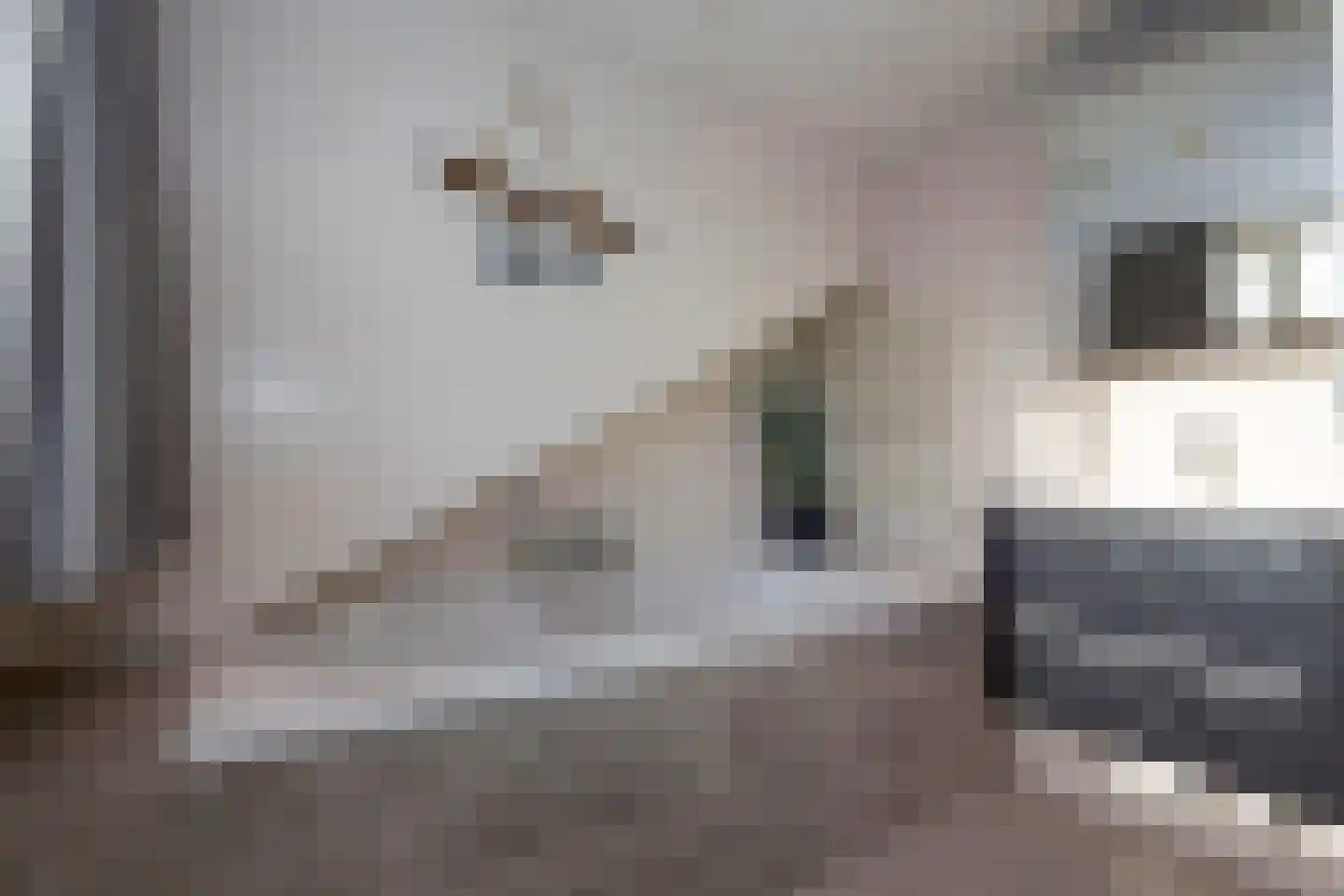 Julianastraat 3 Noordwijk thumbnail 32
