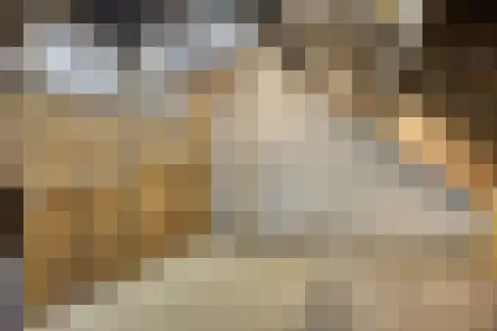 Julianastraat 3 Overdinkel thumbnail 26