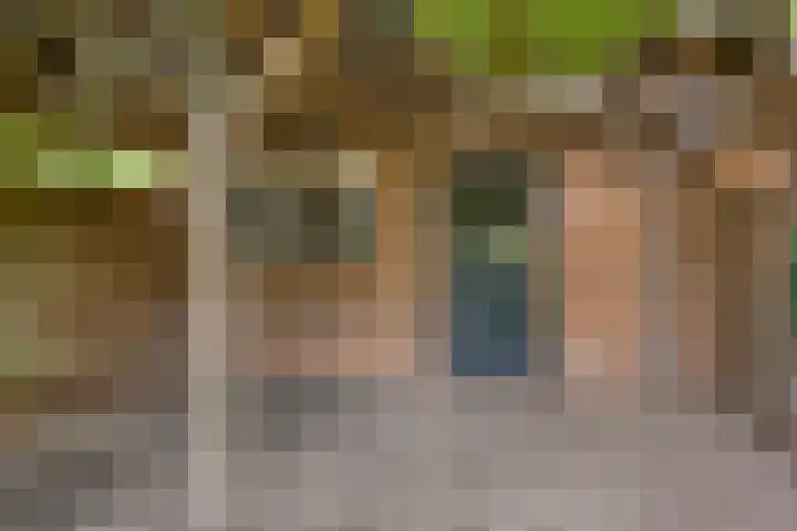 Julianastraat 3 Overdinkel thumbnail 34