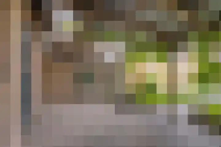 Julianastraat 3 Overdinkel thumbnail 35