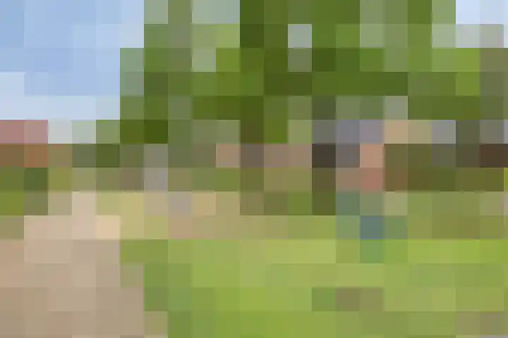 Julianastraat 3 Overdinkel thumbnail 37