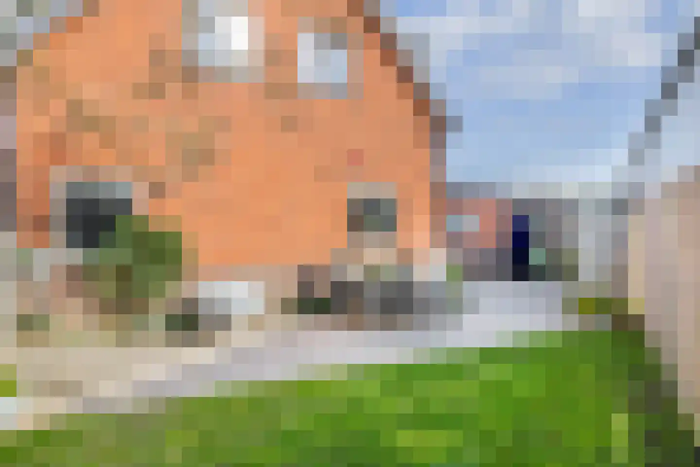 Julianastraat 30 Moerkapelle thumbnail 23