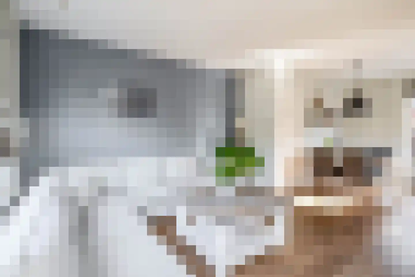 Julianastraat 30 Moerkapelle thumbnail 8