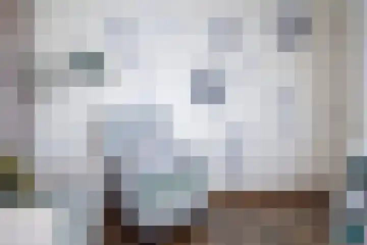 Julianastraat 30 Poeldijk thumbnail 22