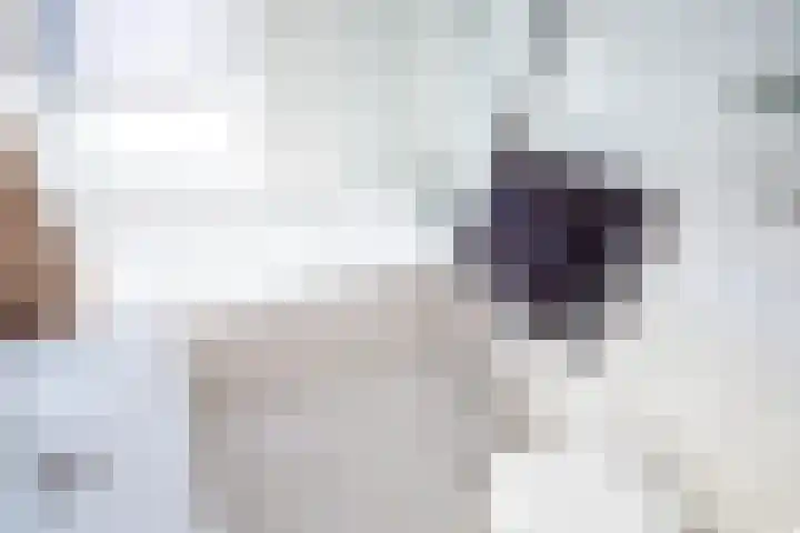 Julianastraat 30 Poeldijk thumbnail 25