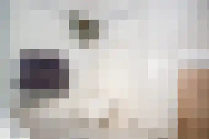 Julianastraat 30 Poeldijk thumbnail 26