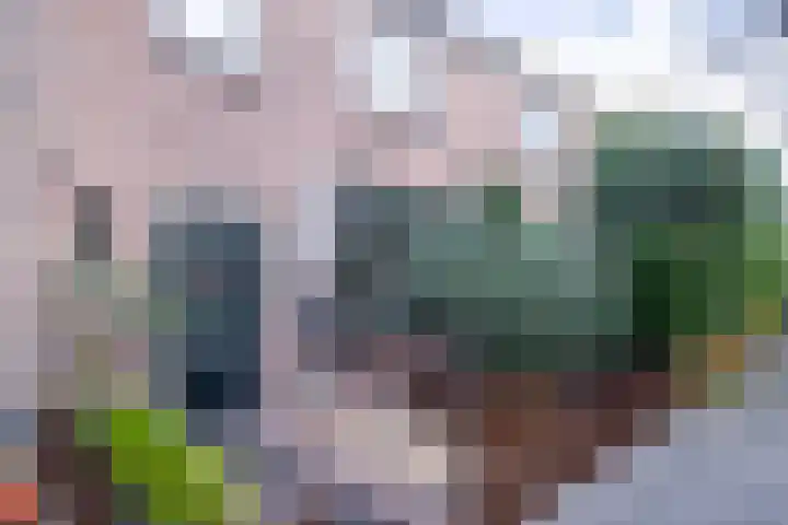 Julianastraat 30 Poeldijk thumbnail 32