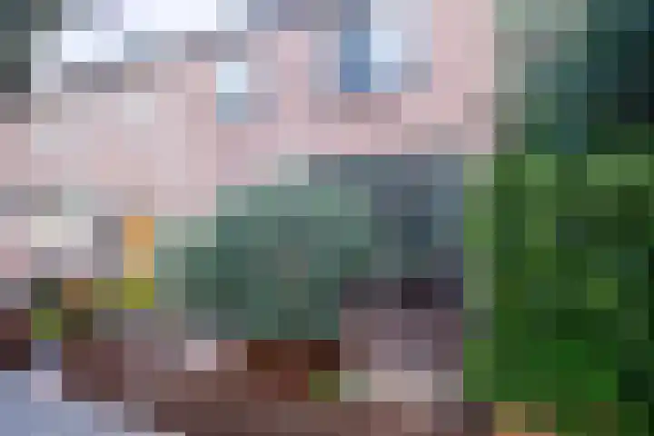 Julianastraat 30 Poeldijk thumbnail 34