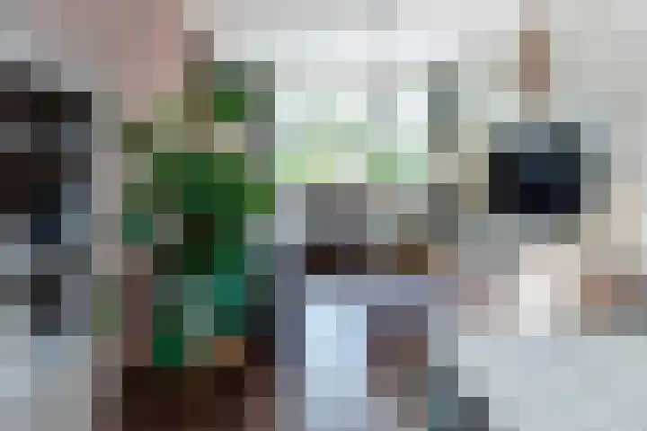 Julianastraat 30 Poeldijk thumbnail 6