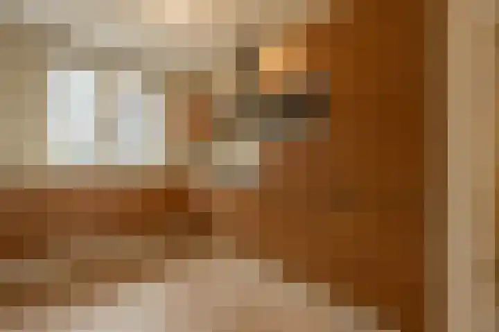 Julianastraat 30 Strijen thumbnail 16