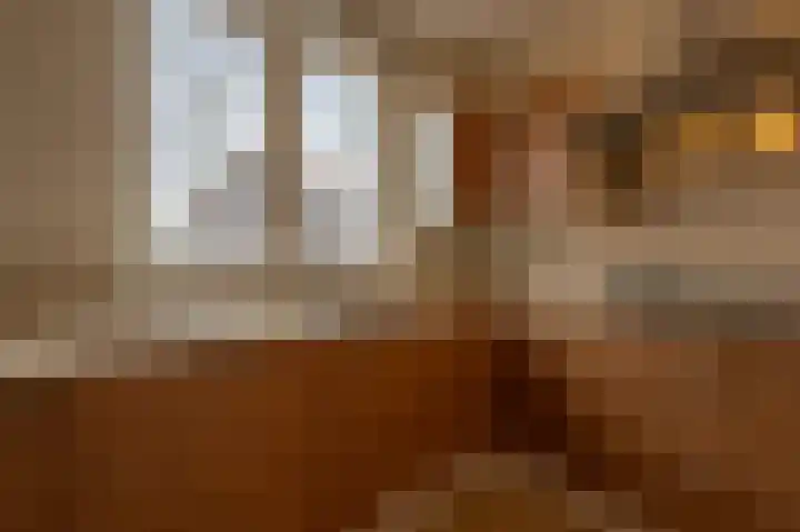 Julianastraat 30 Strijen thumbnail 17