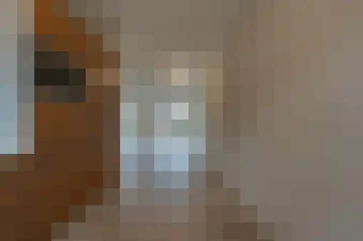 Julianastraat 30 Strijen thumbnail 18