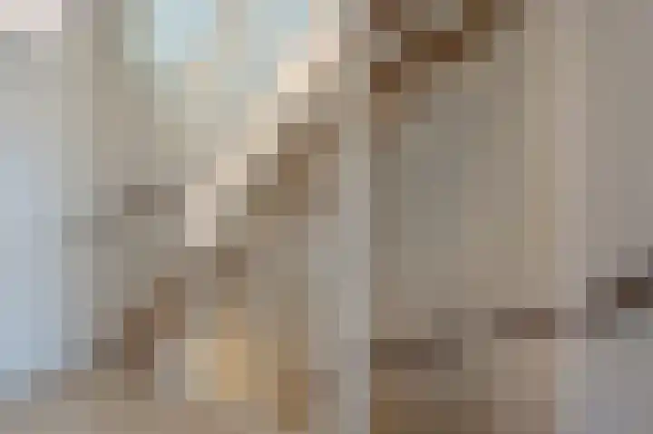 Julianastraat 30 Strijen thumbnail 19
