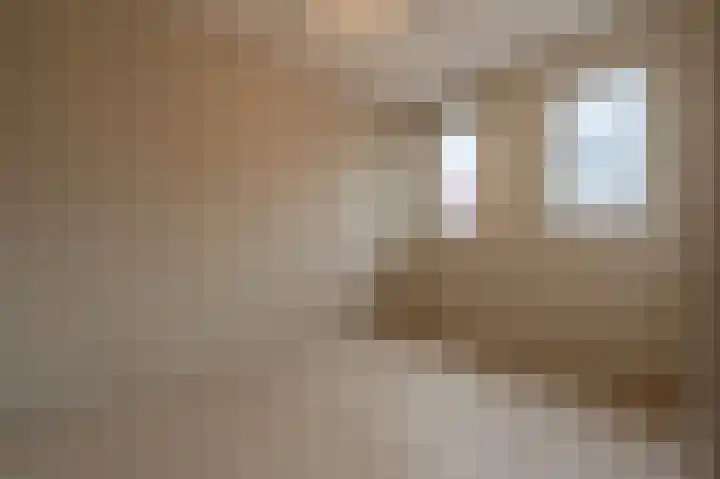 Julianastraat 30 Strijen thumbnail 26