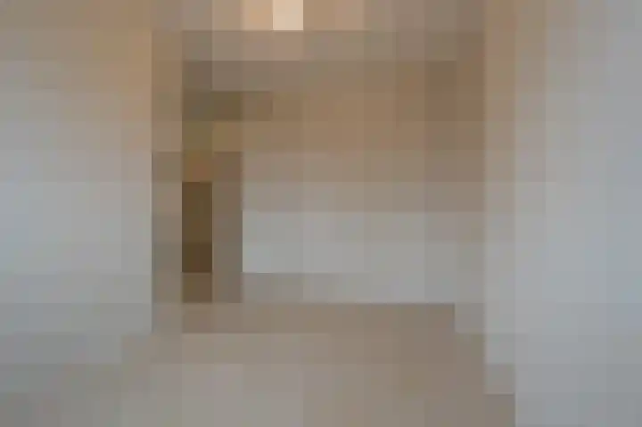 Julianastraat 30 Strijen thumbnail 27
