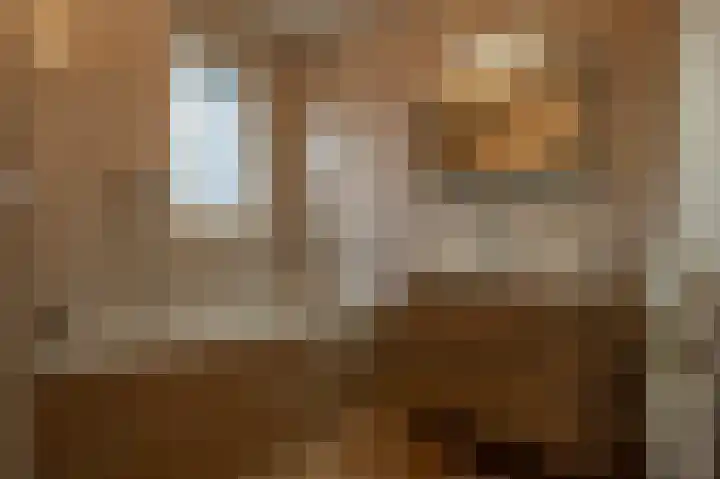 Julianastraat 30 Strijen thumbnail 29