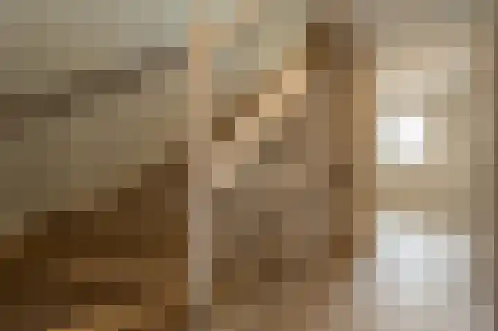 Julianastraat 30 Strijen thumbnail 32