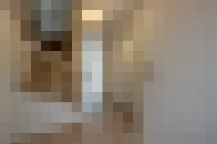 Julianastraat 30 Strijen thumbnail 8
