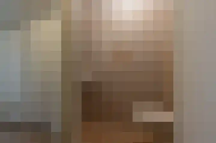 Julianastraat 30 Strijen thumbnail 9