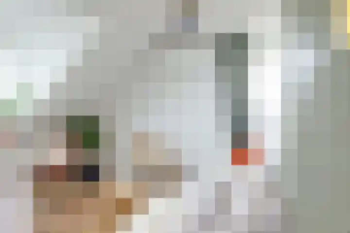 Julianastraat 31 B Alkmaar thumbnail 20