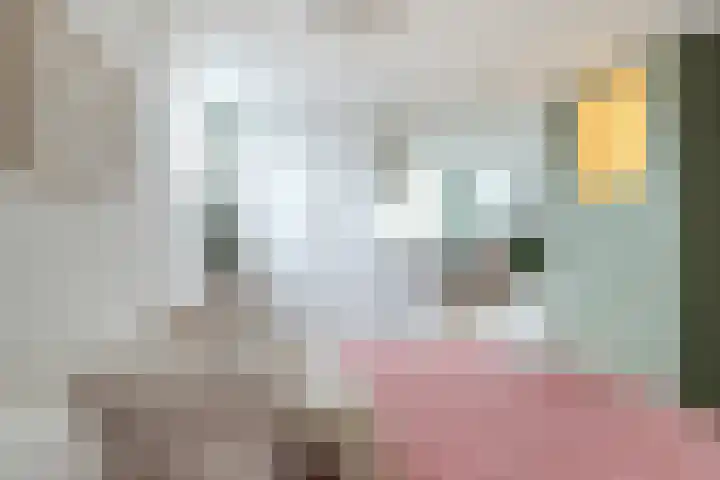 Julianastraat 31 B Alkmaar thumbnail 21