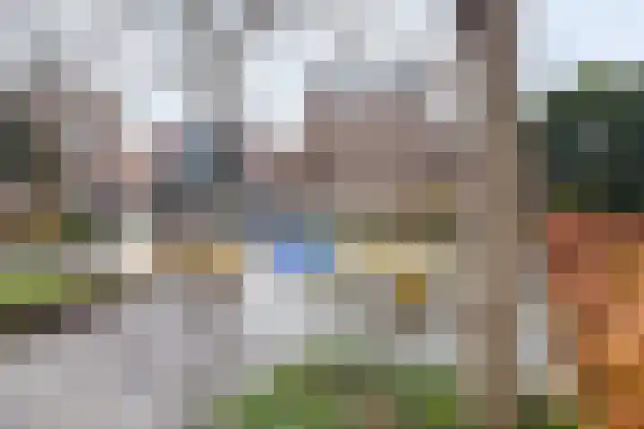 Julianastraat 31 B Alkmaar thumbnail 46