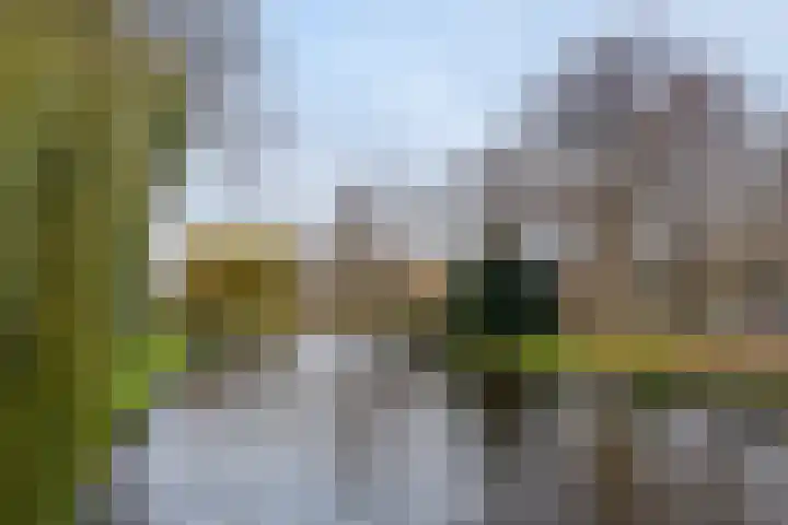 Julianastraat 31 B Alkmaar thumbnail 48