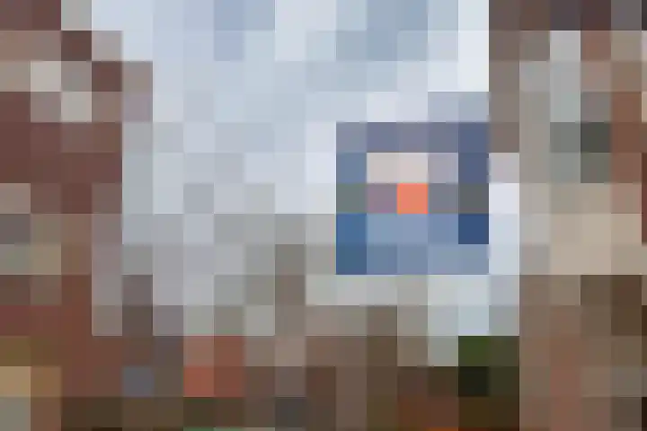 Julianastraat 31 B Alkmaar thumbnail 50