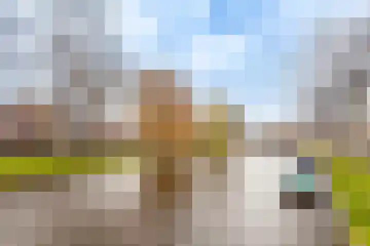 Julianastraat 31 B Alkmaar thumbnail 52