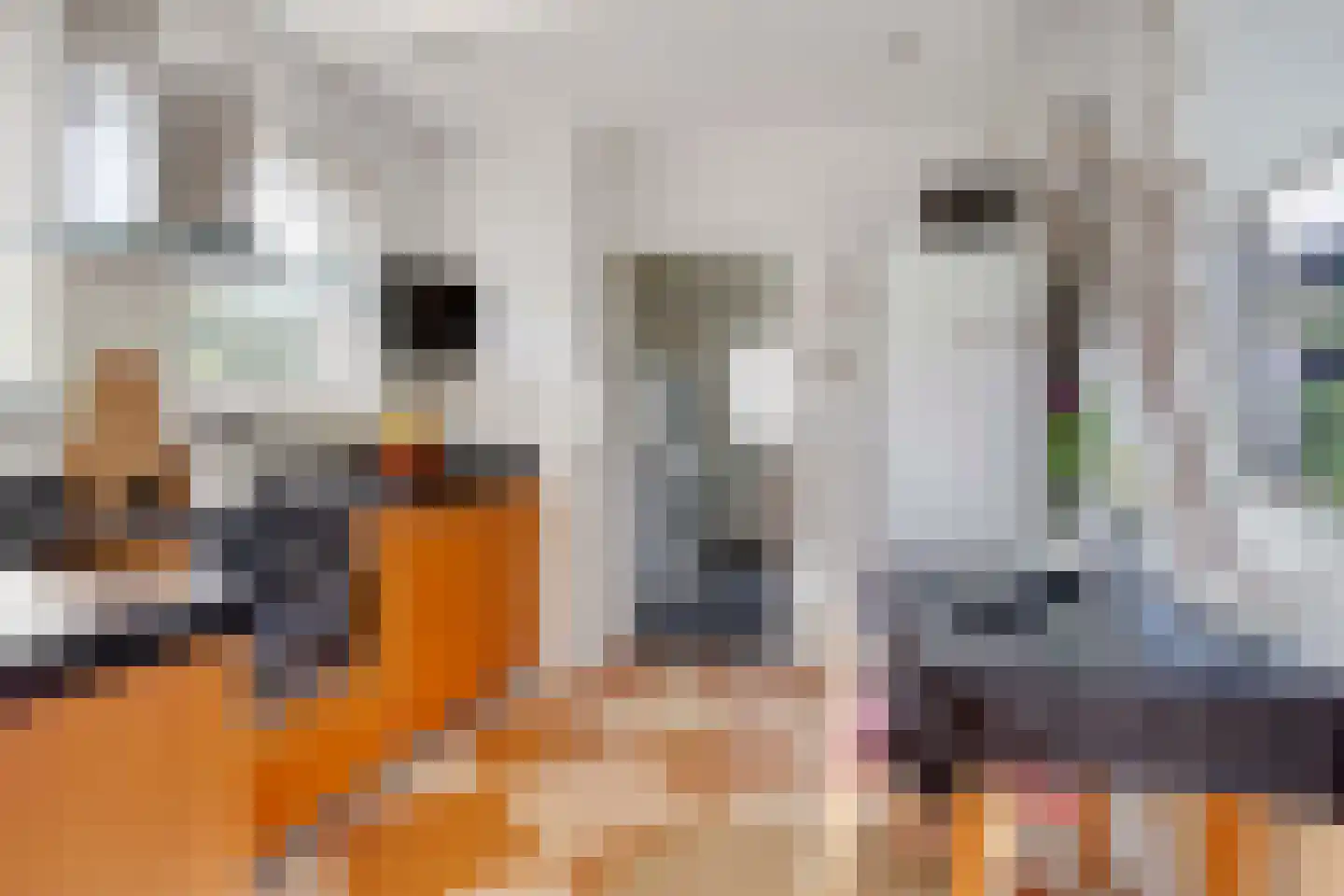 Julianastraat 31 Elburg thumbnail 21