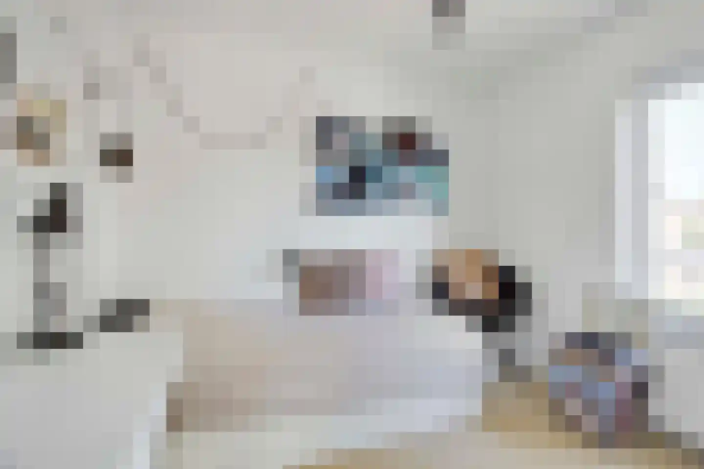 Julianastraat 31 Elburg thumbnail 31
