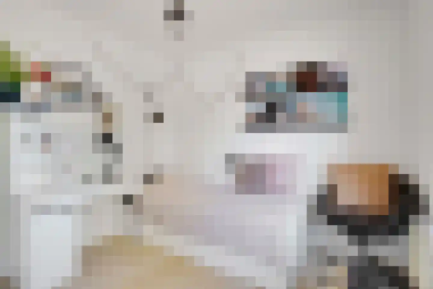 Julianastraat 31 Elburg thumbnail 32