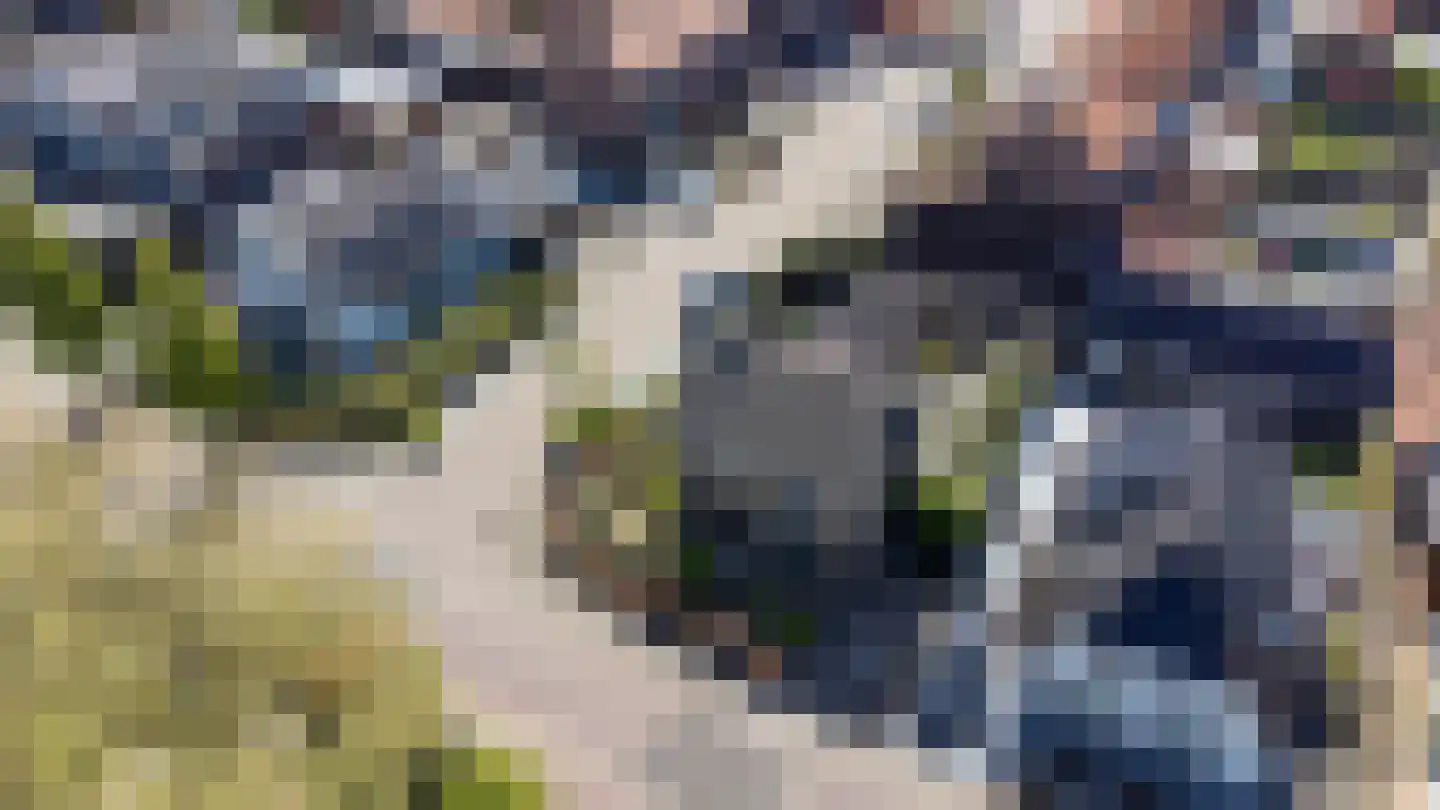 Julianastraat 31 Elburg thumbnail 4