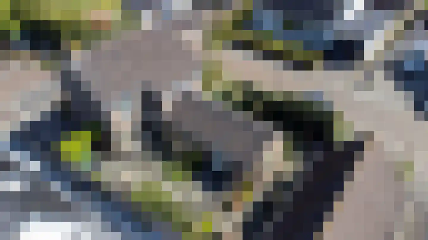 Julianastraat 31 Elburg thumbnail 41