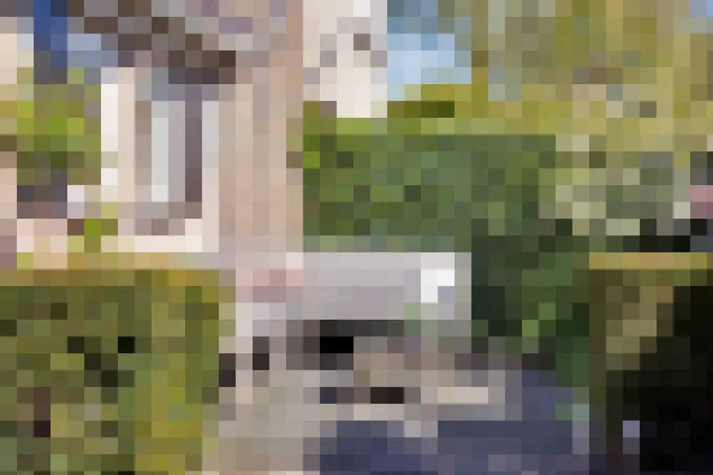 Julianastraat 31 Elburg thumbnail 48