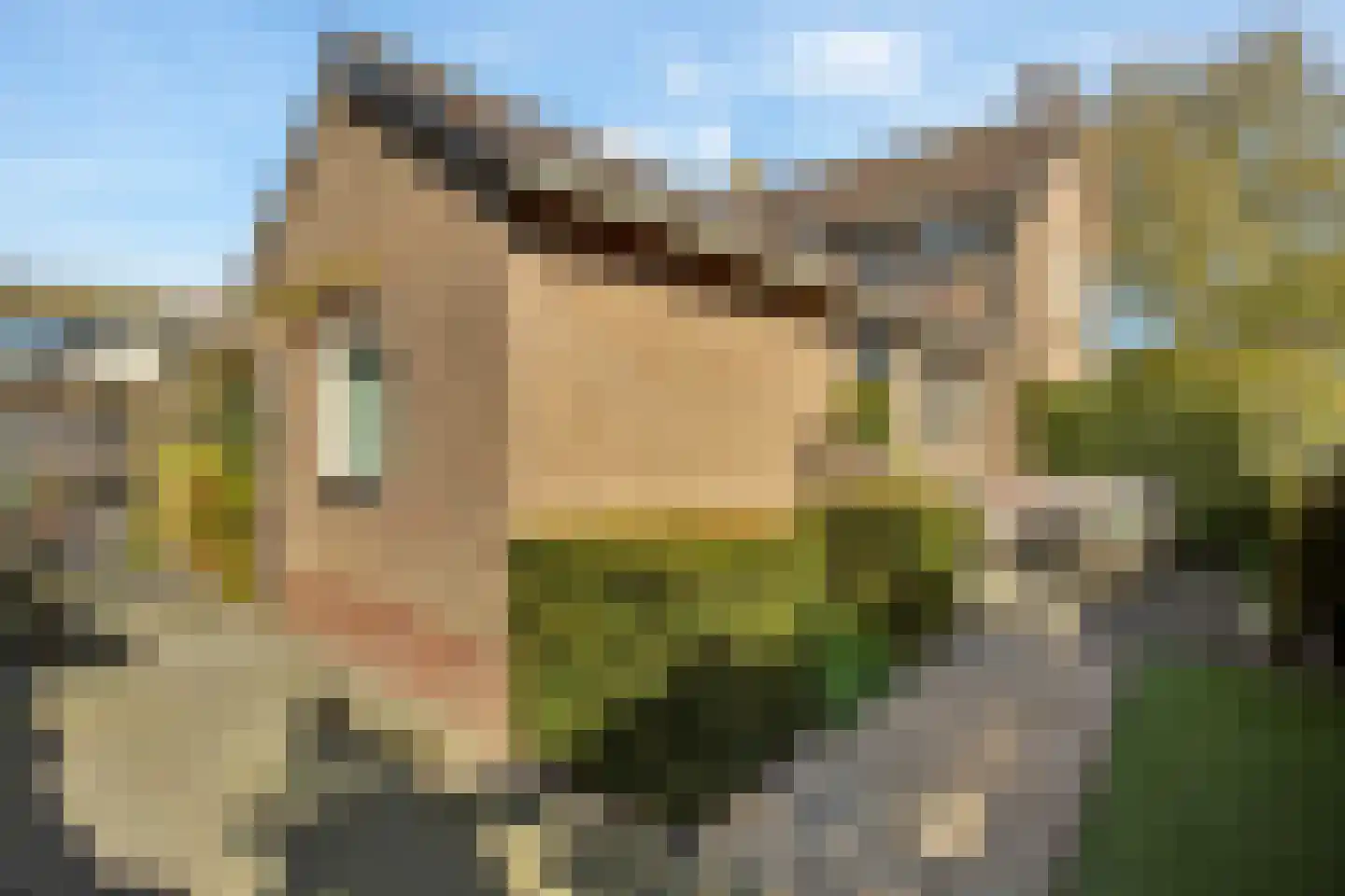 Julianastraat 31 Elburg thumbnail 50