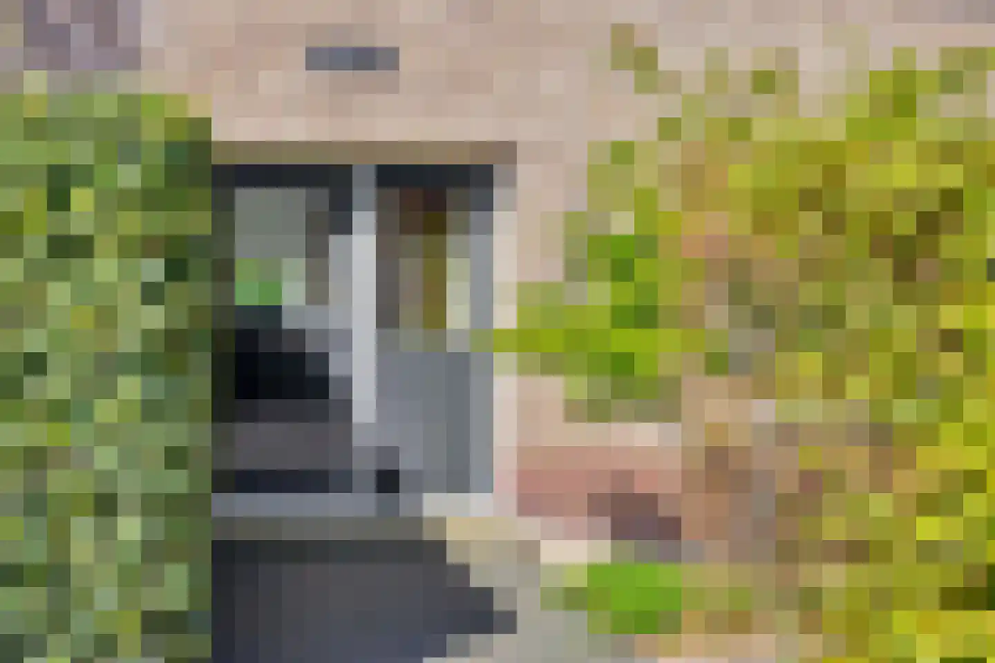 Julianastraat 31 Elburg thumbnail 7