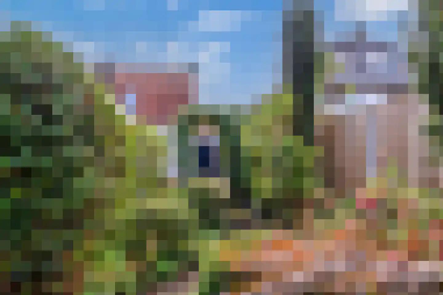 Julianastraat 31 Veenendaal thumbnail 38