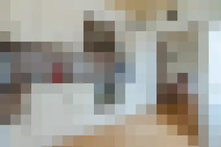 Julianastraat 32 Cuijk thumbnail 11
