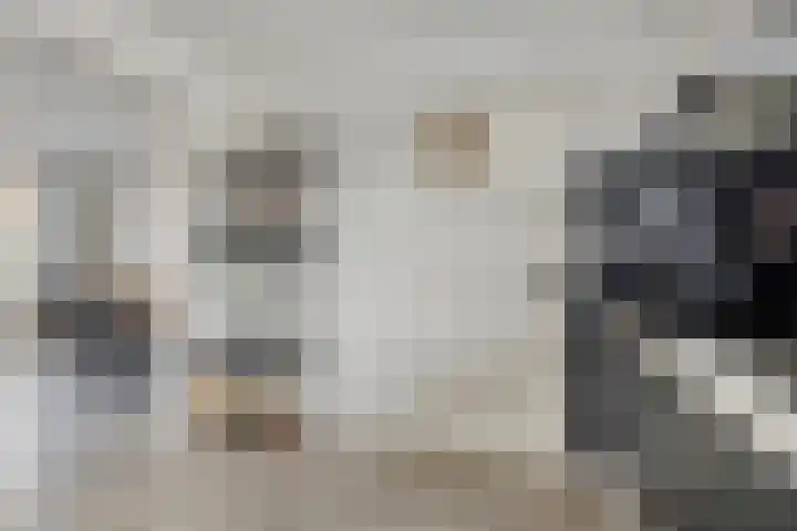 Julianastraat 32 Enter thumbnail 11
