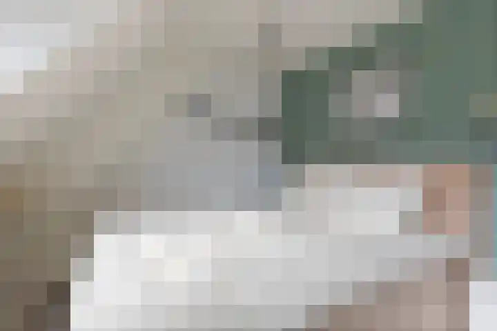 Julianastraat 32 Enter thumbnail 15