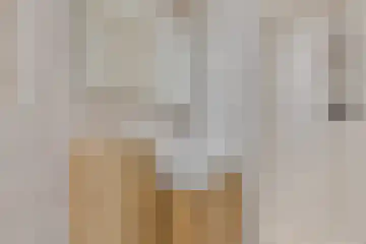 Julianastraat 32 Enter thumbnail 17