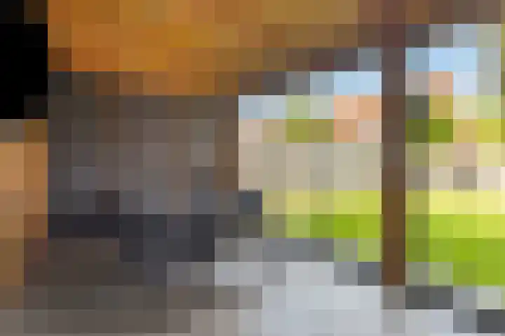 Julianastraat 32 Enter thumbnail 26