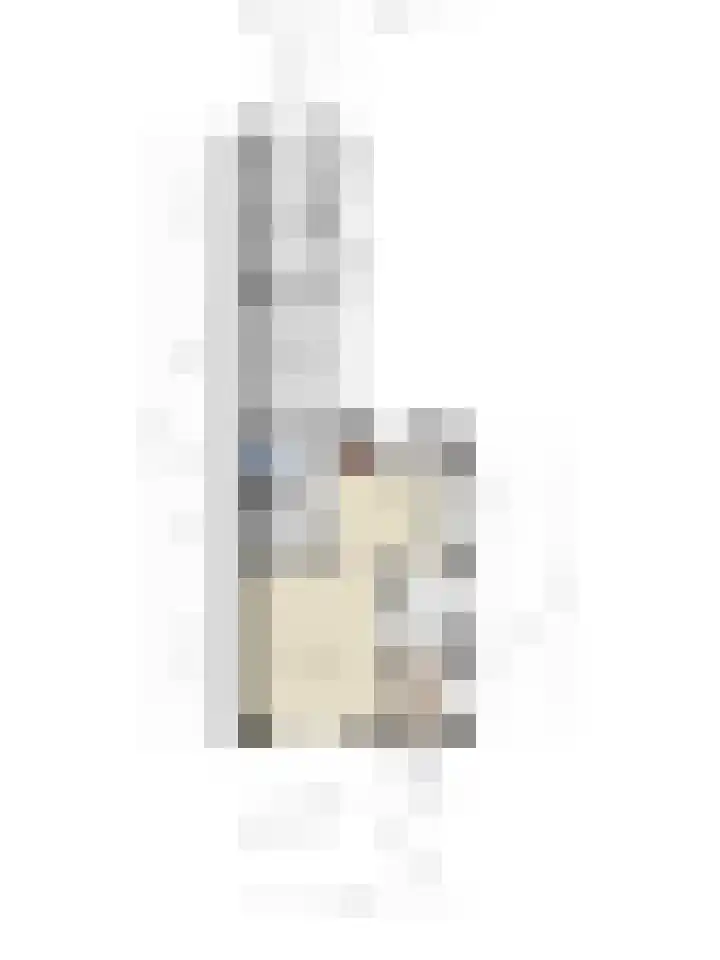 Julianastraat 32 Enter thumbnail 33