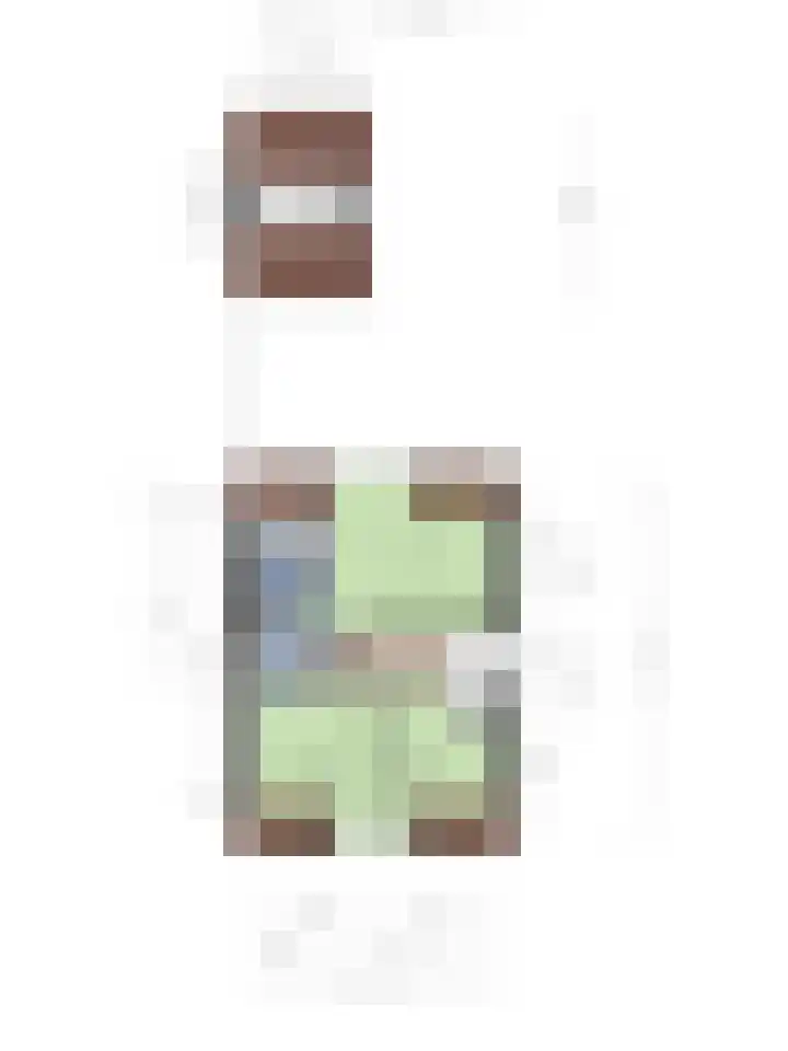 Julianastraat 32 Enter thumbnail 34