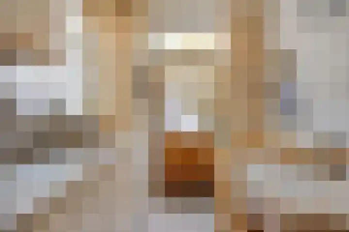 Julianastraat 32 Halsteren thumbnail 11