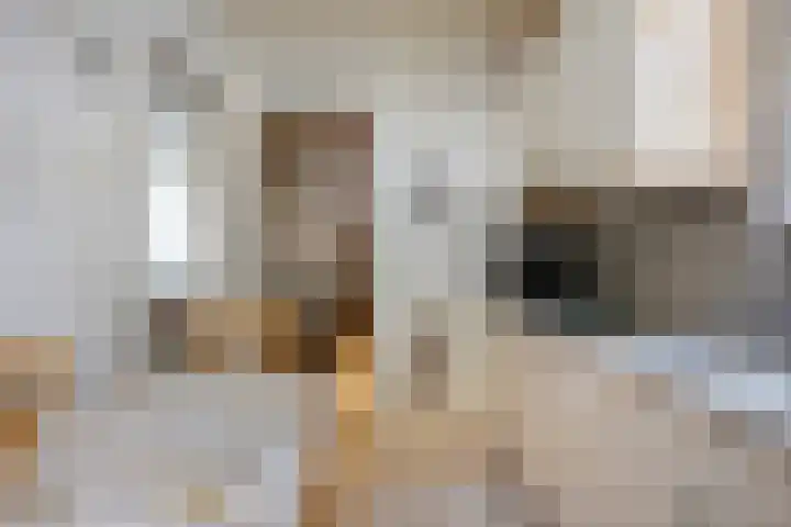Julianastraat 32 Halsteren thumbnail 12