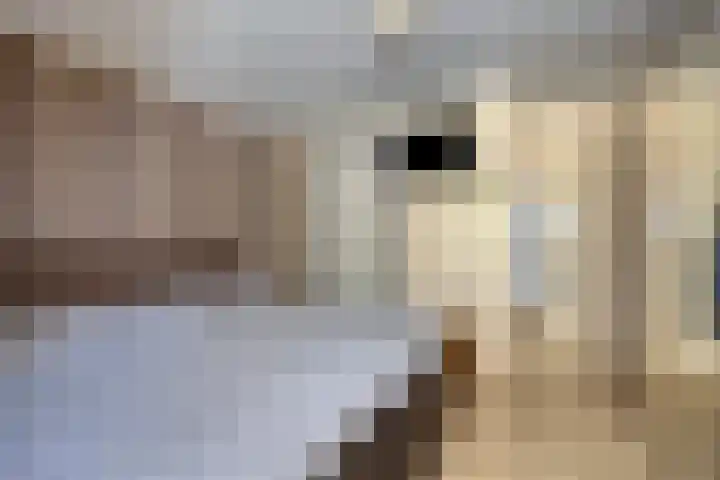 Julianastraat 32 Halsteren thumbnail 13